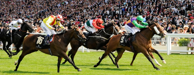 prohibit leads the field on his way to winning at ascot 14-6-11